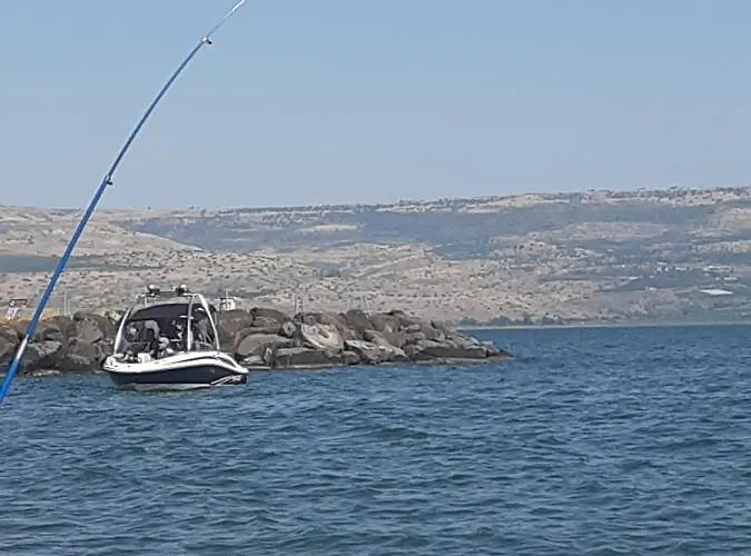Holly George *