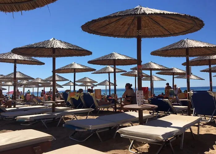 Holly George Tatil Evi